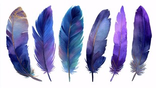 梦幻水彩羽毛集合