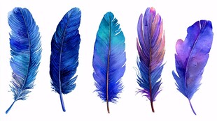 五彩水彩羽毛 梦幻之美