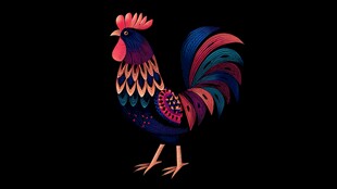 五彩斑斓公鸡插画