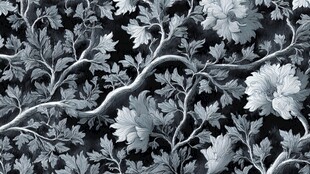 黑白花卉枝叶图案纹理