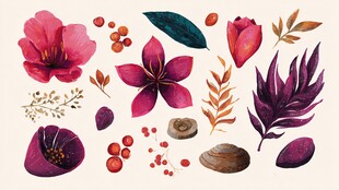 水彩花卉植物元素集合