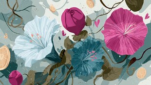 缤纷花卉插画 自然清新风