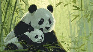 熊猫母子依偎于竹林间