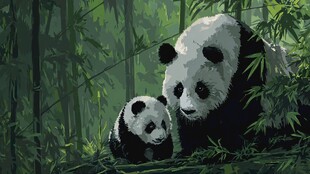 竹林中的熊猫母子