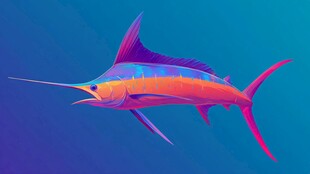 梦幻色彩剑鱼在深海遨游