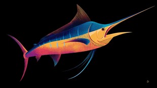 绚丽多彩的剑鱼在游动