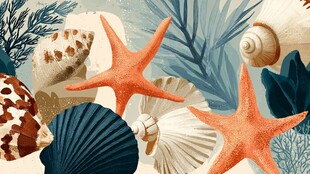 海洋贝壳与海星装饰图案