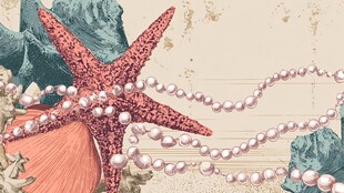 海星贝壳珍珠的海洋风情