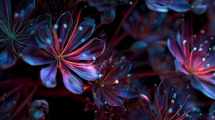 梦幻炫彩花朵微观景象