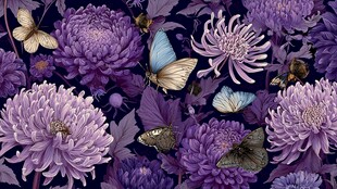 紫色菊花与蝴蝶唯美图案