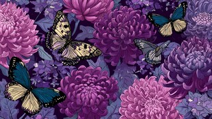 紫菊丛中蝶飞舞