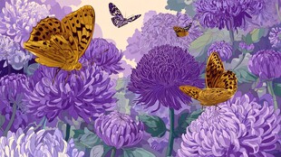 蝶舞紫菊间的梦幻景象