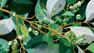 枝叶间的清新绿植景致