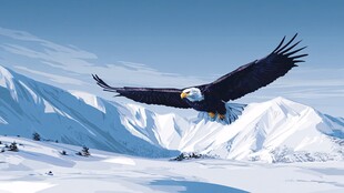 雪山上翱翔的雄鹰