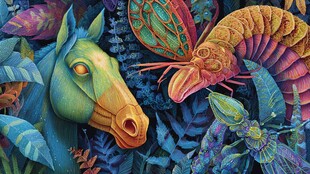 奇幻马虫共栖于斑斓丛林