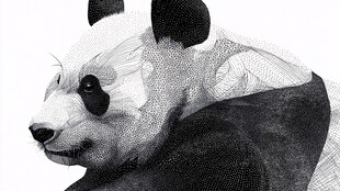 黑白几何风熊猫艺术图像