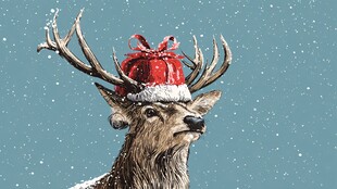 戴圣诞帽的麋鹿