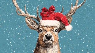 戴圣诞帽的可爱麋鹿