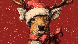 戴圣诞帽的可爱小鹿