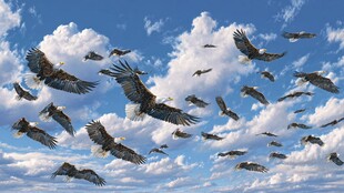 群鹰翱翔于蓝天白云间