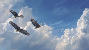 翱翔天际的雄鹰