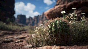 沙漠中绽放小花的仙人掌