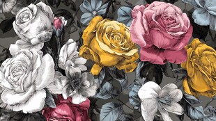 多彩玫瑰花卉图案设计