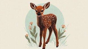 可爱小鹿置身花草间