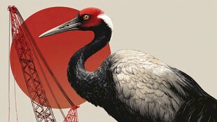 鹤立红圆旁的工业景象