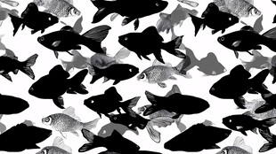 黑白鱼群图案背景素材