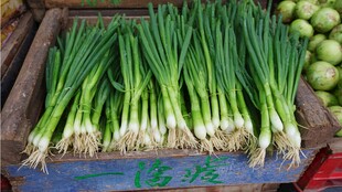 新鲜葱摆卖