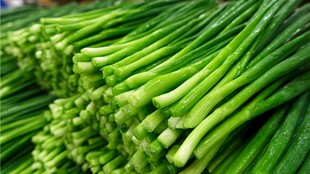 新鲜翠绿的韭菜堆叠