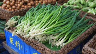 新鲜小葱摆放在菜篮中