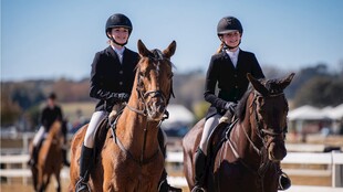 两位骑手与骏马的英姿