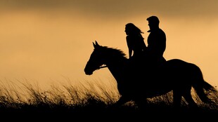 夕阳下情侣骑马浪漫剪影