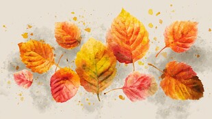 水彩绘就的缤纷秋叶