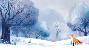 冬日雪林里的狐狸漫步