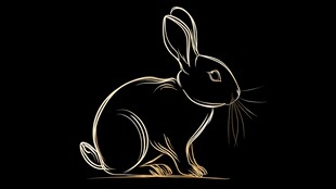 金色线条勾勒的优雅兔子