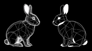 黑白线条风双兔插画