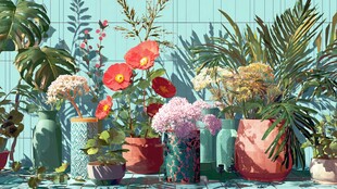 多彩盆栽装点清新空间