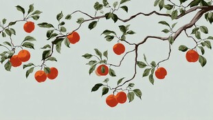 枝头红橘 绿叶相伴