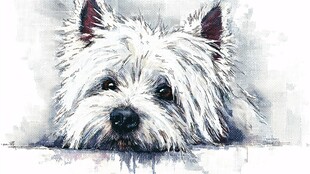 水彩画中的可爱西高地白梗