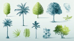 多样绿植插画 清新自然风