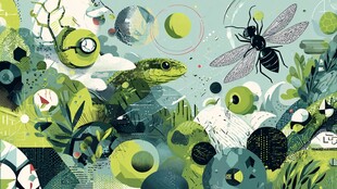 奇幻昆虫与蜥蜴的自然世界