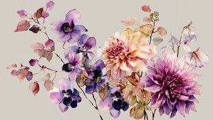 多彩花卉组合 清新自然美