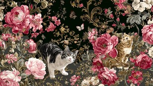 花卉丛中双猫的浪漫图景