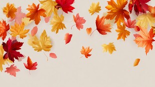 秋日飘落的多彩枫叶