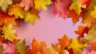 秋叶环绕的梦幻粉色背景