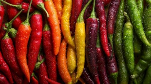 多彩辣椒展示新鲜魅力