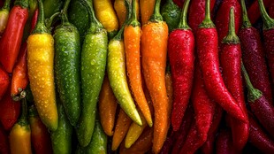 多彩辣椒大集合